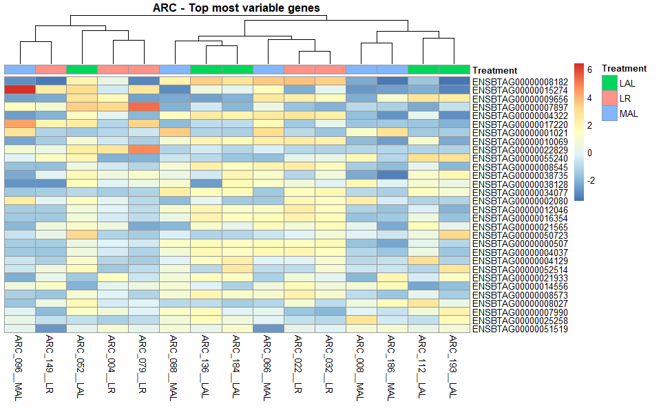 Example Heatmap output