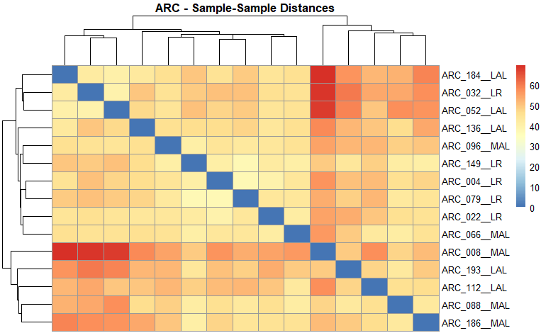 Example sample distances output