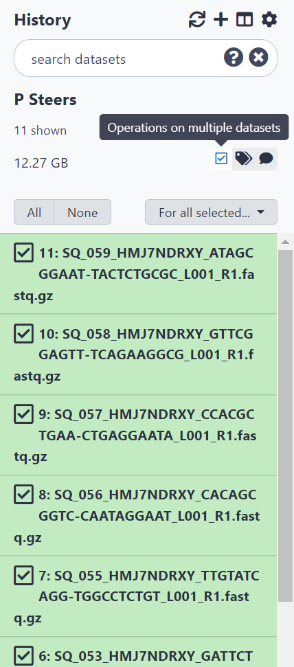 Select ‘Operations on multiple datasets’ then select all items to add to collection