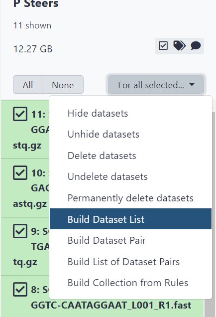 Click ‘For all selected’ then 'Build dataset list'