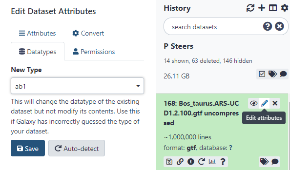 Click 'edit attributes' then navigate to 'Datatypes' to use the Auto-Detect. Otherwise manually set it to .gtf